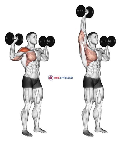 Shoulder press image