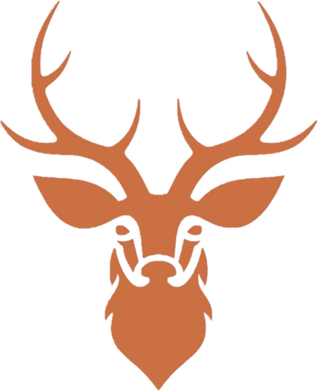 Stag