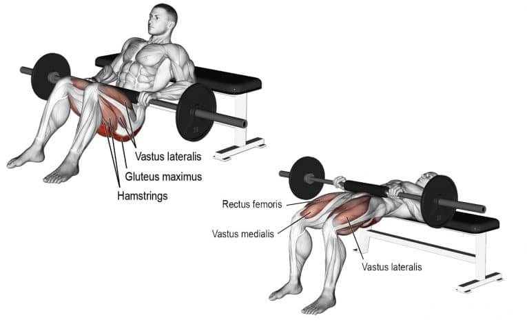 hip thrusts exercise