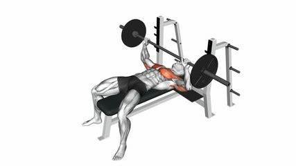 Bench Press