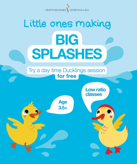 Ducklings daytime sessions