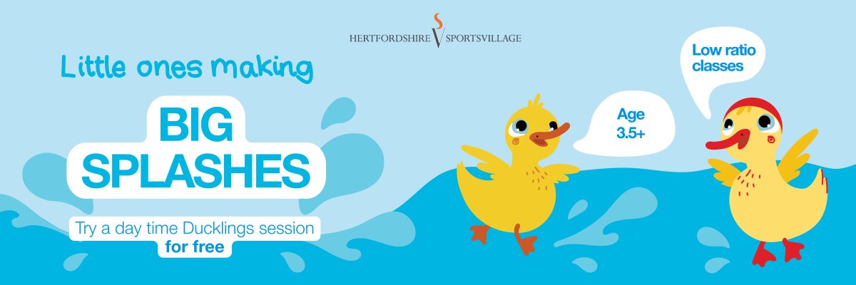 Ducklings daytime sessions